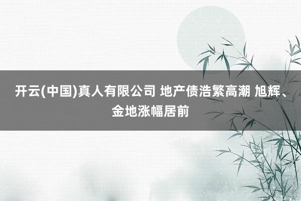 开云(中国)真人有限公司 地产债浩繁高潮 旭辉、金地涨幅居前