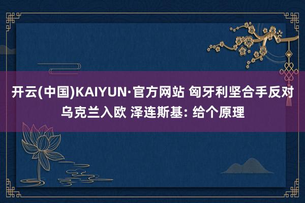 开云(中国)KAIYUN·官方网站 匈牙利坚合手反对乌克兰入欧 泽连斯基: 给个原理