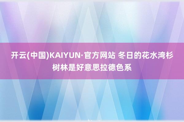 开云(中国)KAIYUN·官方网站 冬日的花水湾杉树林是好意思拉德色系