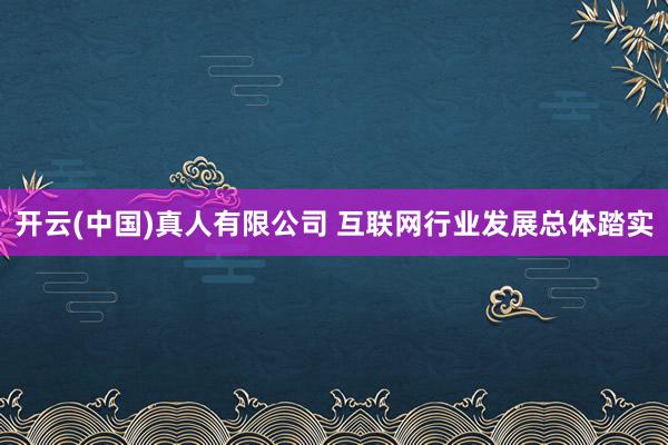 开云(中国)真人有限公司 互联网行业发展总体踏实