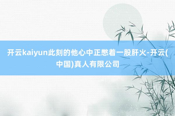 开云kaiyun此刻的他心中正憋着一股肝火-开云(中国)真人有限公司