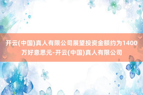 开云(中国)真人有限公司展望投资金额约为1400万好意思元-开云(中国)真人有限公司