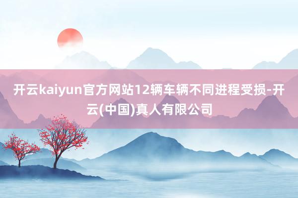 开云kaiyun官方网站12辆车辆不同进程受损-开云(中国)真人有限公司