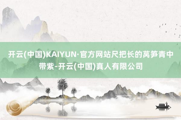 开云(中国)KAIYUN·官方网站尺把长的莴笋青中带紫-开云(中国)真人有限公司